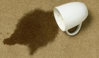 Carpet Cleaning In Melbourne  image 5