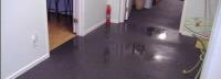 Marks Carpet - Flood Damage Restoration Adelaide image 1