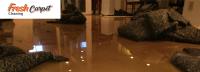 Fresh Carpet - Flood Damage Restoration Adelaide image 1