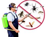 Local Pest Control Ballarat image 3