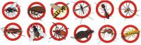 Professional Pest Control Geelong image 4