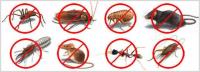 Real Pest Control Geelong image 3