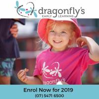 Dragonfly's Early Learning image 2