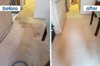 Clean That - Carpet Cleaning Adelaide image 5