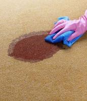 Green Cleaners Team - Carpet Cleaning Toowoomba image 6