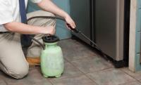 Peters Cleaning Pest Control Ipswich image 13