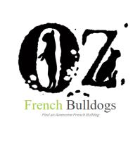 OZ French Bulldogs image 1
