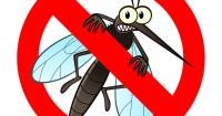 Trusted Pest Control Portarlington image 1