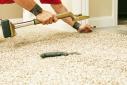 Next Day Cleaning - Carpet Repair Brisbane logo