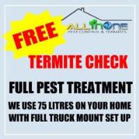 All In One Pest Control & Termites image 2