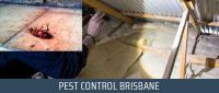 Domestic Pest Control Sunshine Coast image 2