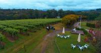 Private Winery Tours Yarra Valley image 8