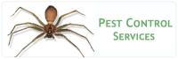 Pest Control Chatswood image 1
