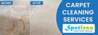 Professional Carpet Stain Removal image 2