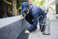 Masters Pest Control Spring Hill image 4