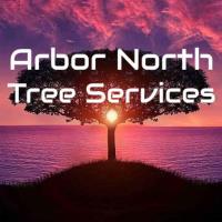 Arbor North Tree Services image 1