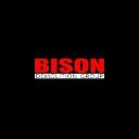 Bison Demolition Group logo