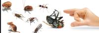 Pest Control Chatswood image 2