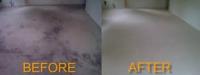 Spotless Carpet Cleaning Bayswater image 3