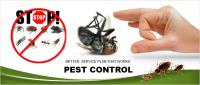 Emergency Pest Control image 1
