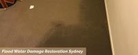 EFCS Flood Damage Restoration Sydney image 2