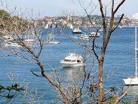 Sydney Charter Boat image 8