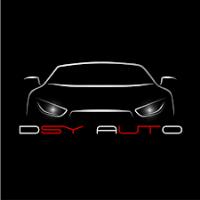 DSY Auto Group image 1