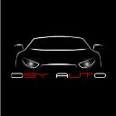 DSY Auto Group logo