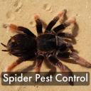 Best Pest Control Services logo