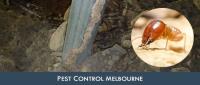 Best Pest Control Company image 3