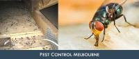 Best Pest Control Company image 4