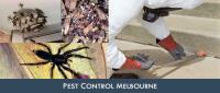 Best Pest Control Company image 5