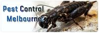 Local Pest Control Services image 5