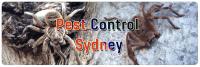 Pest Control Sydney image 4