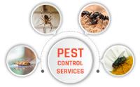 Residential Pest Control image 4