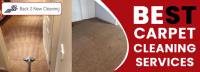Professional Carpet Cleaning  image 1