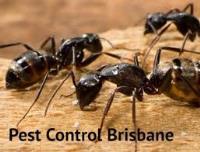 Pest Control Services Brisbane image 2