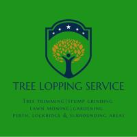 Tree Lopping Service Perth image 1