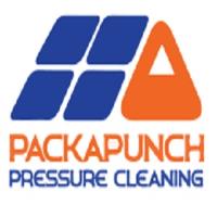 PackaPunch Pressure Cleaning image 1