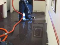 Carpet Cleaning in Perth image 7