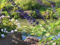 River Gardens Axedale image 3