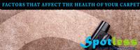 Spotless Carpet Cleaning Perth image 3