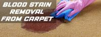 SK Carpet Cleaning Perth image 2