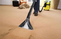 Carpet Cleaning Adelaide image 5