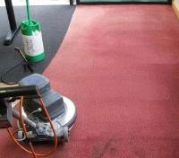 Professional Carpet Cleaning Perth image 4