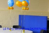 LG Party Decorations image 15
