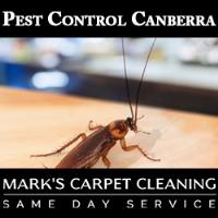 Pest Control Canberra image 3