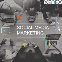 Xenex Media image 4