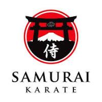 Samurai Karate image 3