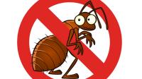 Pest Control Bundeena image 7